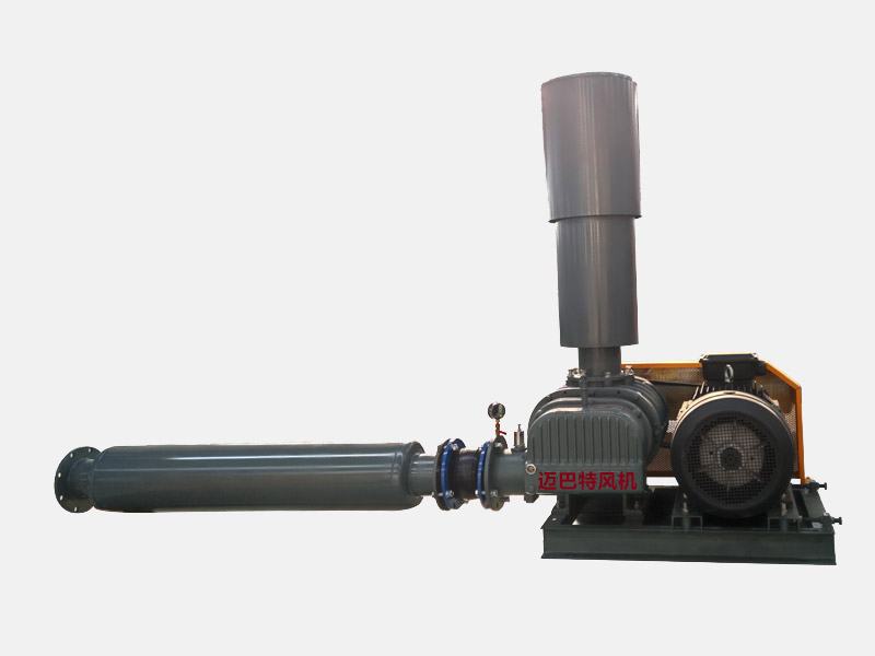 節能型羅茨風(fēng)機